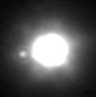L'observation de l'astrode 762 Pulcova et la dcouverte de la prsence d'un satellite (fvrier 2000)