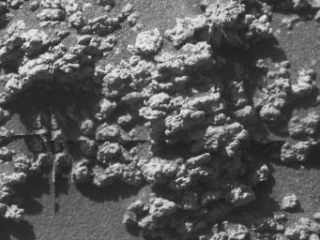 La texture du rocher 'Reef'  'Jibsheet' (88 ko)