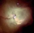 N81 - Une nurserie stellaire