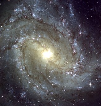 Rgion centrale de la galaxie Messier 83 (58 ko)