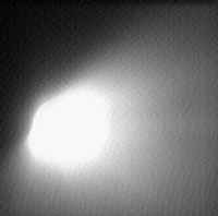 Le noyau de la comte de Halley par Vega 2 (17 ko)